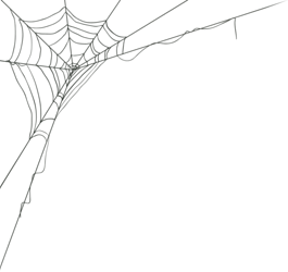 toppng.com-spider-web-corner-600x564