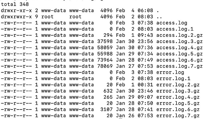 Screenshot 2021-02-04 at 06.11.40