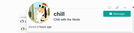 Screenshot of a customized site contact user profile