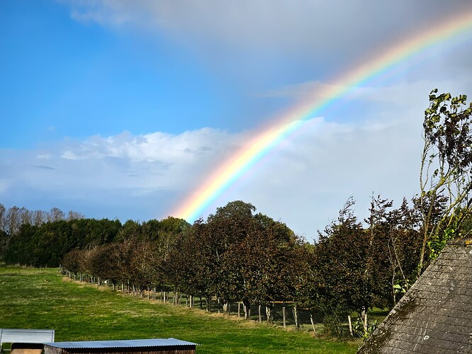 rainbow 🌈