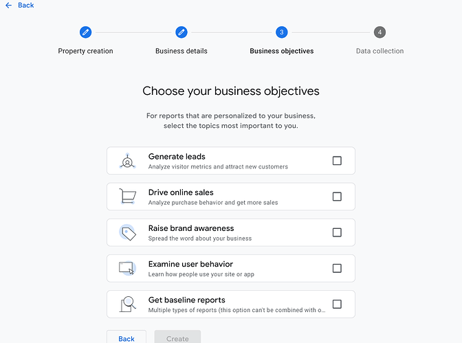 Business objectives screen