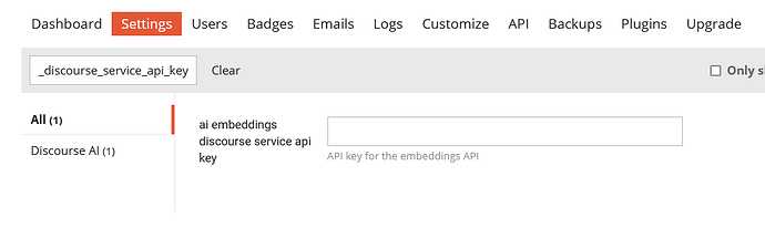 L'immagine mostra un'interfaccia utente di una pagina delle impostazioni di un'applicazione relativa alle chiavi API, con particolare attenzione a un campo per una 'discourse_service_api_key' che sembra essere collegata a un'API di embedding. (Didascalia dell'IA)