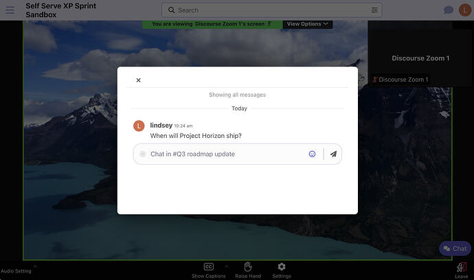 Fullscreen Zoom webinar on desktop, with the chat overlay.
