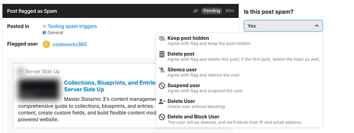 Testingspamtriggers-PostflaggedasSpam-Is this post spam_Yes