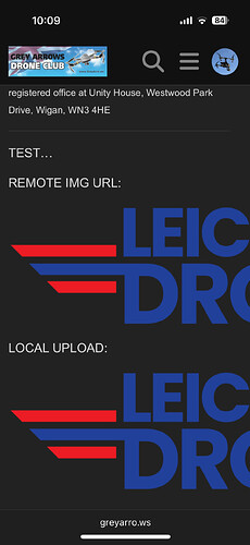 IMG_3736.PNG