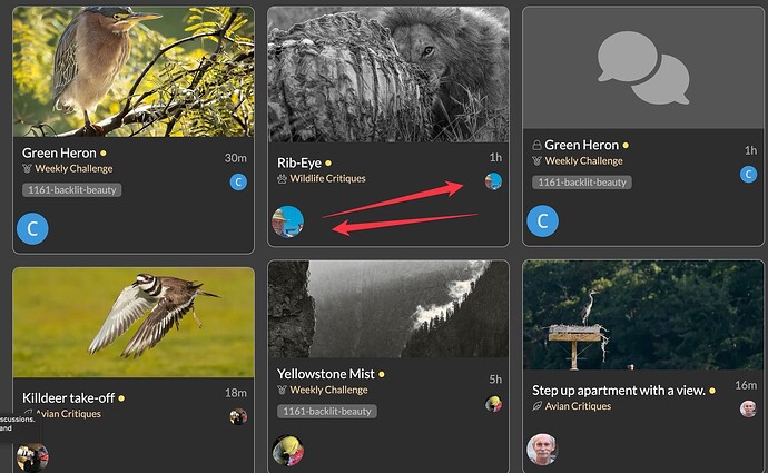This is a screenshot of an Instagram post that showcases different birds from various locations, including a peregrine falcon, a hummingbird, a heron, and a crane, highlighting their natural habitats and beauty. (Captioned by AI)