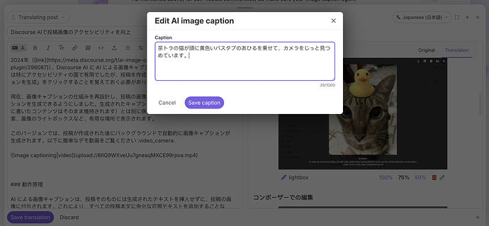 translated image caption