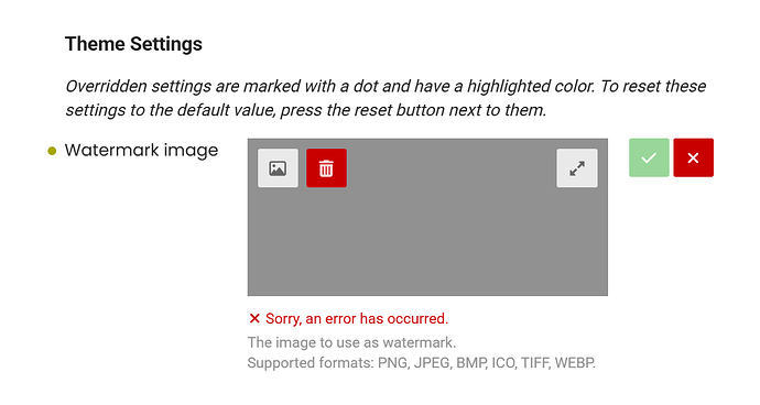 Il messaggio di errore viene visualizzato in una pagina web relativa alle impostazioni del tema, indicando che si è verificato un errore durante il tentativo di impostare un'immagine filigrana, con un'opzione per reimpostare le impostazioni predefinite. (Didascalia dell'IA)