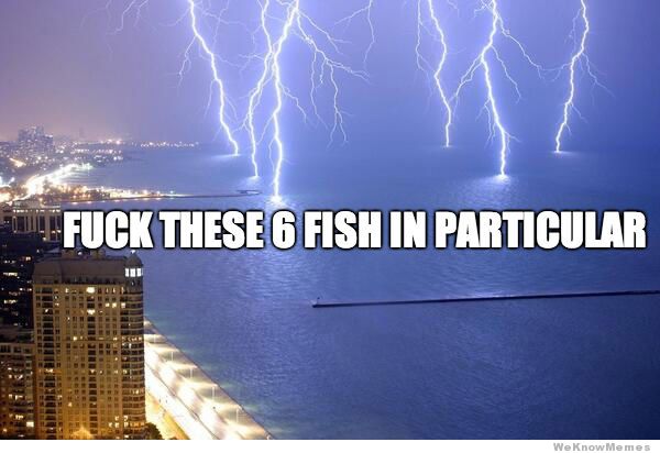 fuck-these-6-fish-in-particular