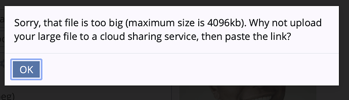 Screen Shot 2020-07-27 at 1.36.00 PM