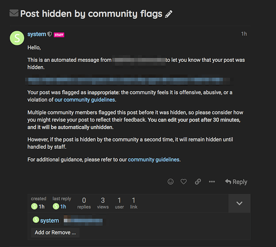 flagissue2