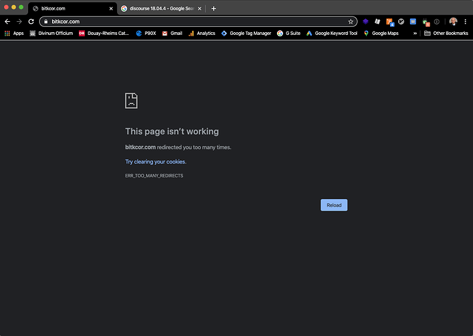 Screenshot 2020-04-11 13.19.34