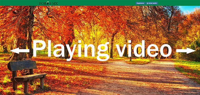 Home page video