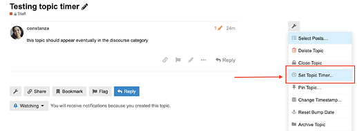 Set Topic Timer option