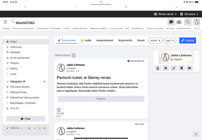 A screenshot of a website with text in Finnish, showing a personal profile page with the name "Jakke Lehtonen" and a picture of a cat.  (Captioned by AI)