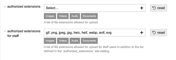 authorized extensions settings