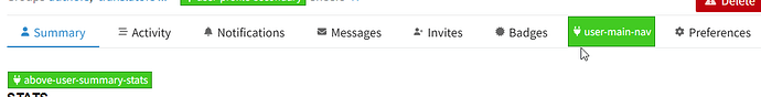The image shows a navigation bar on a website or application with tabs for Summary, Activity, Notifications, Messages, Invites, and Badges, including a highlighted tab labeled "user-main-nav" in green. (Captioned by AI)