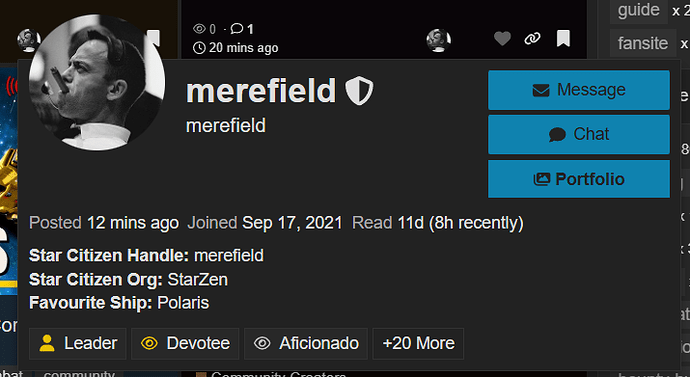 The image shows a user profile for "merefield," including their star citizen handle, organization name, favorite ship, and a leaderboard icon with options to message, chat, or view portfolios. (Captioned by AI)