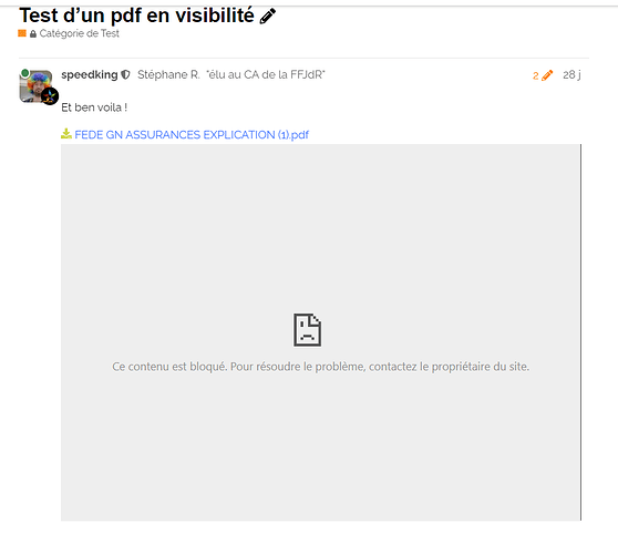 A imagem mostra uma captura de tela de uma página da web com o título "Test d'un pdf en visibilité" e uma grande caixa cinza vazia. (Legenda da IA)
