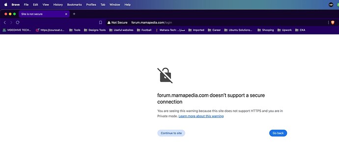 图片显示了一个电脑屏幕，上面显示了一个来自名为“forum.mamapedia.com”的网站的警告页面，表明它不支持安全连接，并建议用户继续访问该网站并了解有关该警告的更多信息。(由 AI 标注)