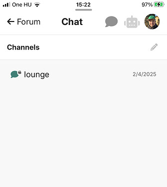 La schermata mostra l'interfaccia di un'app di messaggistica con un canale di chat denominato "lounge" e un'immagine del profilo con un'icona di cappello in alto a destra. (Didascalia dell'IA)