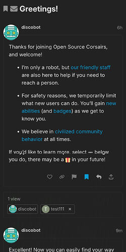 Long screenshot of the discobot interaction