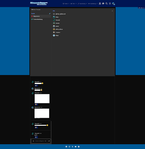 Problema con el chat en modo de pantalla completa