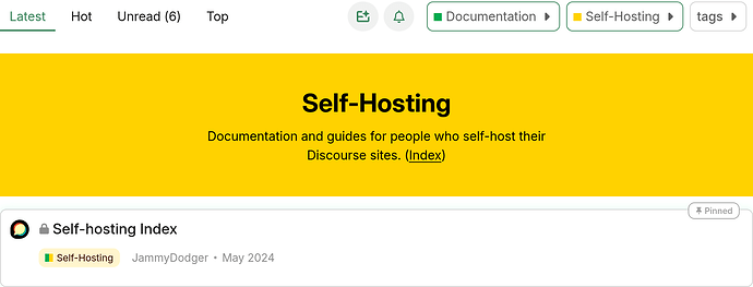 The image is from a forum post discussing 'Self-Hosting Documentation' for Discord sites, pinned by JammyDodger in May 2024. (Captioned by AI)