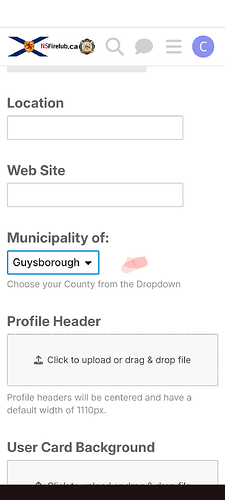 Uma interface de configuração de site com opções suspensas para localização, site e status do município, e campos para upload de cabeçalho de perfil e plano de fundo do cartão do usuário. (Legenda por IA)