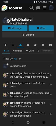 Cette image montre une interface Discord mobile avec un utilisateur nommé « NateDhaliwal » faisant référence à un fil de discussion d'un autre utilisateur nommé « tobias », concernant des liens et des traductions brisés. (Légendé par l'IA)