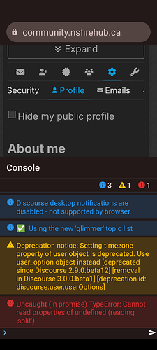 A imagem exibe uma interface de programa do Discourse em uma plataforma com avisos sobre descontinuações e erros. (Legenda por IA)