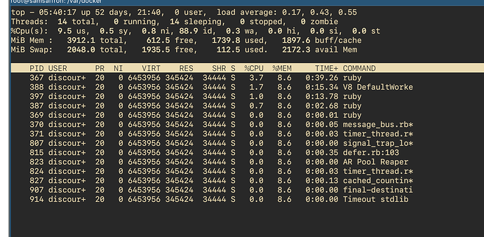 Ein Screenshot, der die Ausgabe eines Top-Befehls zeigt, der Systemressourcen und Prozesse angibt, mit 367 Threads, die überwiegend einen Ruby- oder colourer-2480-Prozess ausführen, und einer größtenteils freien, aber genutzten RAM-Auslastung. (Beschriftet von KI)
