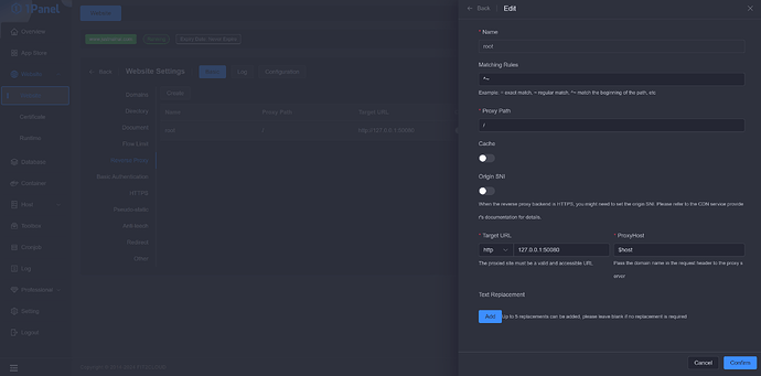 Uno screenshot di una pagina delle impostazioni del sito web con varie opzioni per dominio, percorso proxy, URL di destinazione e altre impostazioni. (Sottotitolo generato dall'AI)