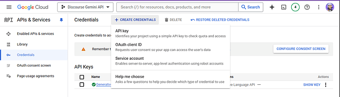 La imagen es una captura de pantalla de la interfaz de un ordenador para una página de configuración de cuenta de Google, que muestra un menú con varias opciones relacionadas con servicios de API. (Subtitulado por IA)