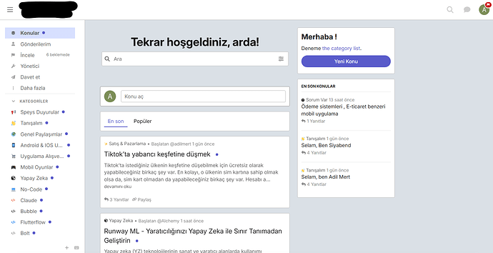 Das Bild zeigt einen Screenshot einer Website mit einem Abschnitt mit dem Titel „Algorithmic Music“, der Blogbeiträge zu Technologien wie TikTok, Runway ML und anderen enthält, mit einer Seitenleiste, die den Benutzer auffordert, ein Feedbackformular auszufüllen. (Untertitel von KI)