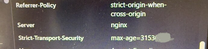 特写镜头显示与 Web 服务器配置相关的文本，包括 'Referrer-Policy'、'Server' 和 'Strict-Transport-Security' 以及与 nginx 相关的值。（由 AI 标注）