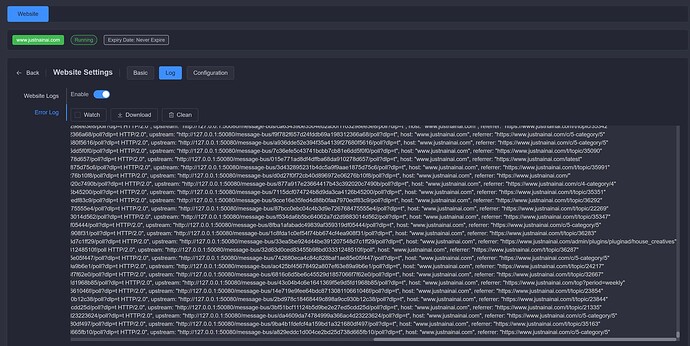 L'immagine mostra uno screenshot di un'interfaccia di gestione del sito web con varie impostazioni e log relativi a un sito attivo denominato justnainai.com. (Sottotitolo generato dall'AI)