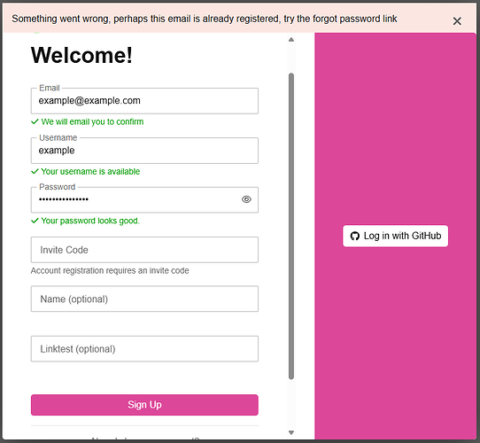 login pagina intera disabilitato