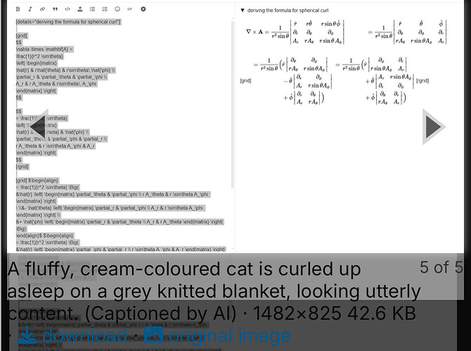 Une formule mathématique complexe relative au rotationnel sphérique est affichée à côté d'une image confortable d'un chat moelleux de couleur crème endormi sur une couverture tricotée grise. (Légendé par l'IA)