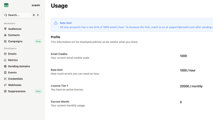 A interface do usuário mostra seções para perfis, e-mails, métricas, domínios de envio, eventos, credenciais, webhooks e supressões. (Legenda da IA)