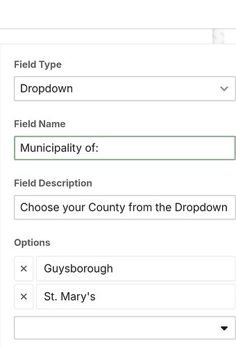 A imagem exibe uma seção de um formulário com um menu suspenso chamado "Municipality of:" e duas opções, "Guysborough" e "St. Mary's", rotuladas como "Options" das quais escolher. (Legenda por IA)