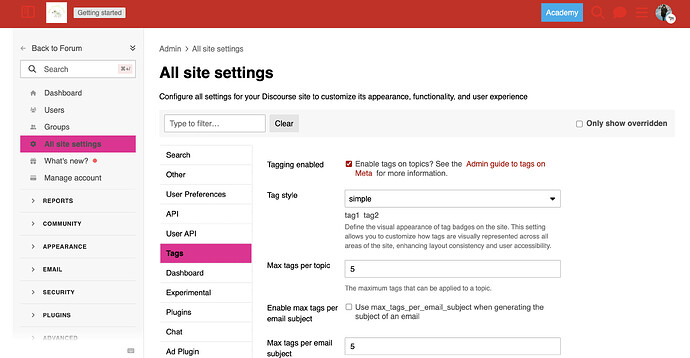 Tag panel within Site Settings