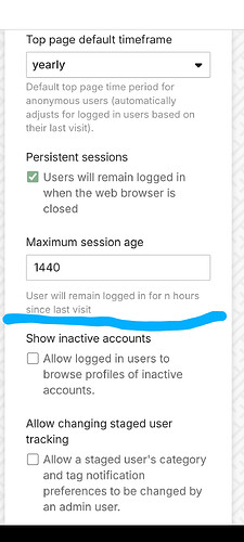 L'immagine mostra una pagina di configurazione per le impostazioni della sessione utente, che consente agli utenti di rimanere connessi quando il browser è chiuso e di impostare un'età massima della sessione di 1440 ore. (Didascalia dell'IA)