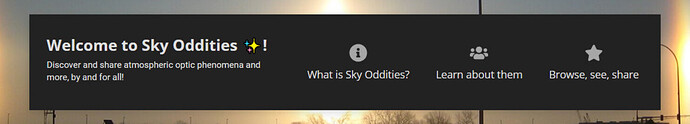 This is an image of a computer monitor displaying the home page for a website called "Welcome to SkyOddities!". The page features a black background with white text and three icons representing the website's services.  (Captioned by AI)
