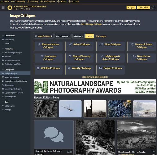 Category