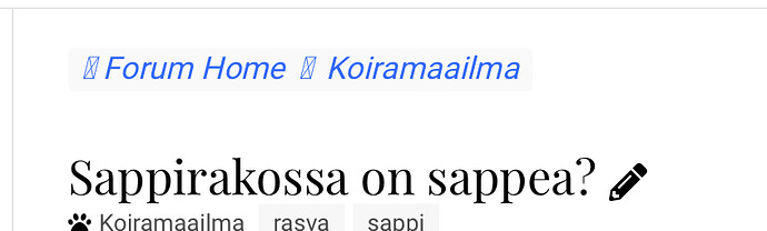 Cette image montre un moniteur d'ordinateur avec le texte « Forum Home Koiramailma Sappirakossa on sapppea ? » à l'écran, suggérant une recherche ou une question sur le nom d'un chien sur un forum. (Légendé par l'IA)