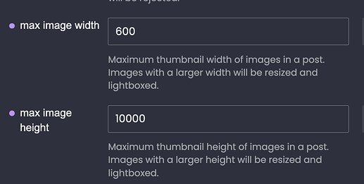 Screenshot 2024-11-14 at 12.38.54 PM