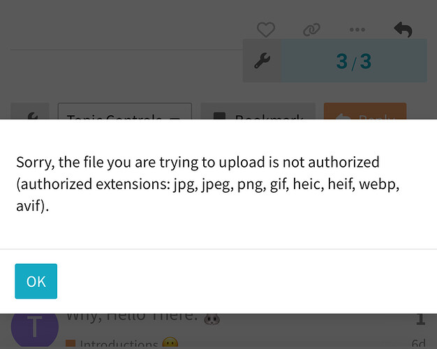 L'image montre une notification indiquant que le fichier en cours de téléchargement n'est pas autorisé. (Légendé par l'IA)