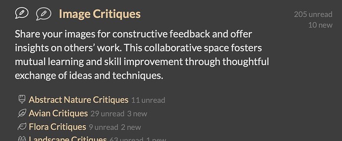 Das Bild ist eine Werbegrafik für die Community „Image Critiques“, die die Vorteile des Teilens und Erhaltens von konstruktivem Feedback zur Arbeit anderer Fotografen hervorhebt, um gegenseitiges Lernen und Verbesserung zu fördern. (Beschriftet von KI)