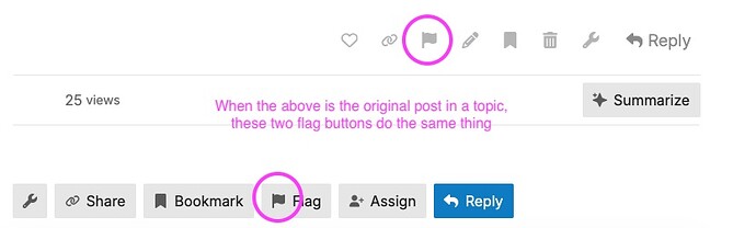 L'image montre un gros plan d'un écran d'ordinateur affichant un forum de discussion avec des contrôles partagés, mettant en évidence deux boutons de drapeau mis en évidence par des cercles roses afin d'illustrer qu'ils servent le même but que le bouton isolé en haut. (Légendé par l'IA)